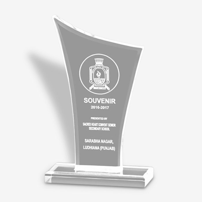 Custom Acrylic Trophy