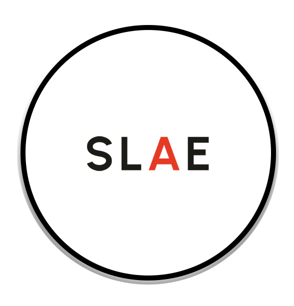 Lapel Pin