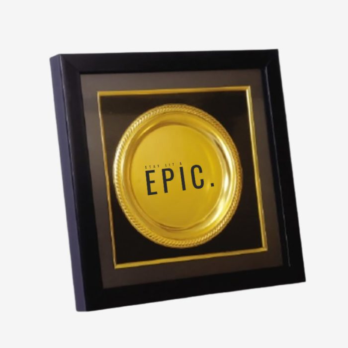 Momento 10 inch Shield