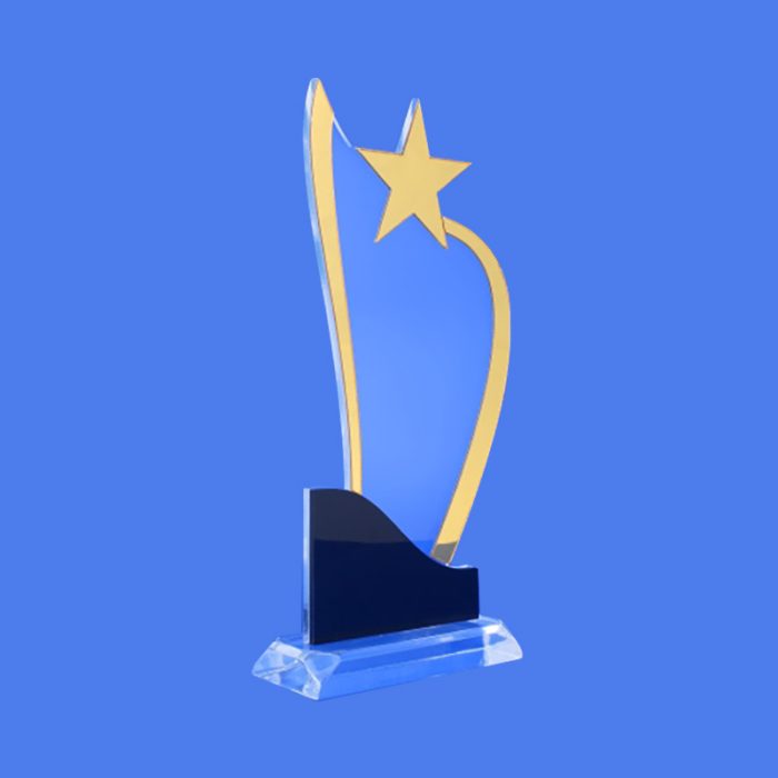 Star Acrylic Trophy