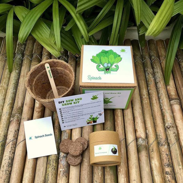 DIY Gardening Kit